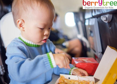 Nutritious Recipe For Baby Food While Travelling